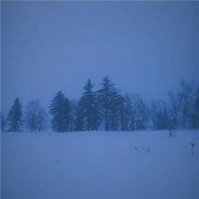 万博手机版max网页版(中国)官方网站app下载