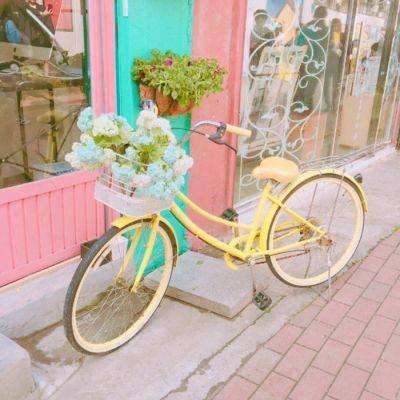 PG电子游戏下载截图