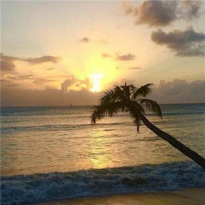 爱游戏ayx体育登录下载手机版